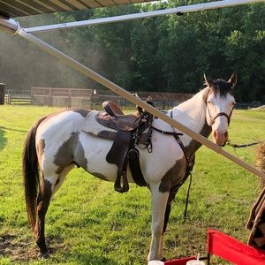 Meet your Posher, Beverly